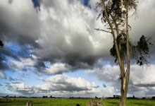 西汉姆联主场胜出，球队士气大振