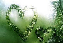 黎巴嫩选手意外斩获金牌，惊艳全场